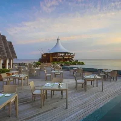 image-https://maldivus.ru/media/restaurants/81/image/400x400/-restaurant-54139.webp
