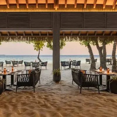image-https://maldivus.ru/media/restaurants/816/image/400x400/-restaurant-96201.webp