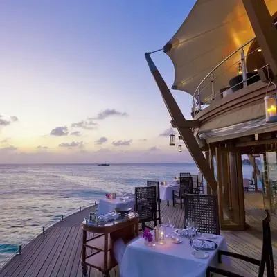 image-https://maldivus.ru/media/restaurants/82/image/400x400/-restaurant-72826.webp