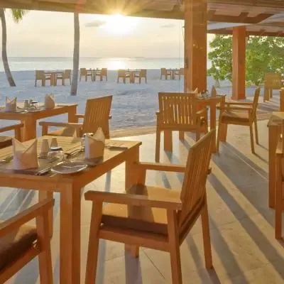 image-https://maldivus.ru/media/restaurants/85/image/400x400/-restaurant-65916.webp