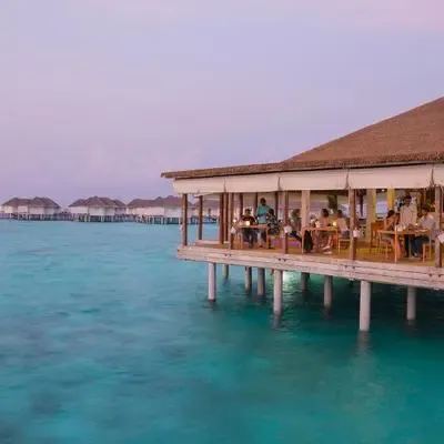 image-https://maldivus.ru/media/restaurants/91/image/400x400/-restaurant-18027.webp