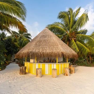 image-https://maldivus.ru/media/restaurants/944/image/400x400/-restaurant-95221.webp