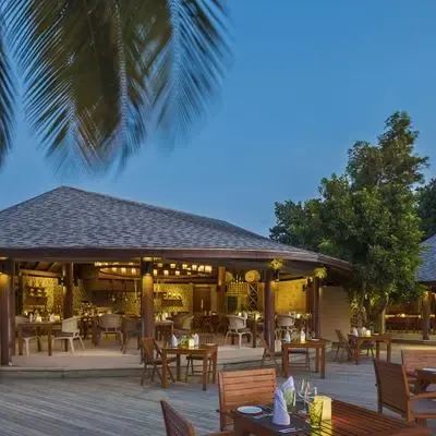 image-https://maldivus.ru/media/restaurants/95/image/400x400/-restaurant-38023.webp