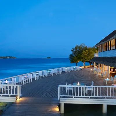image-https://maldivus.ru/media/restaurants/954/image/400x400/-restaurant-96131.webp