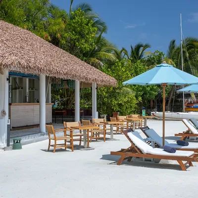image-https://maldivus.ru/media/restaurants/955/image/400x400/-restaurant-96141.webp