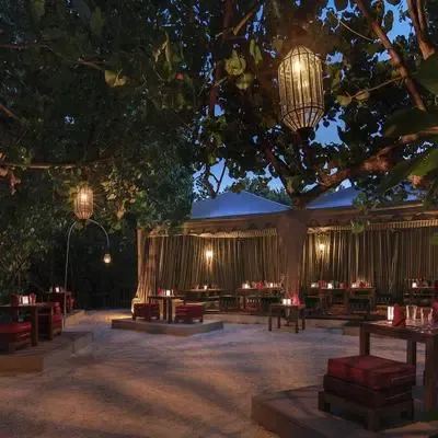 image-https://maldivus.ru/media/restaurants/96/image/400x400/-restaurant-12463.webp
