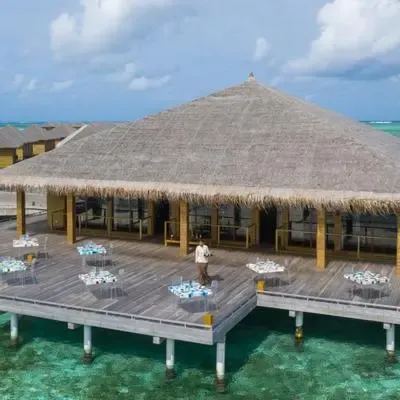 image-https://maldivus.ru/media/restaurants/98/image/400x400/-restaurant-87554.webp