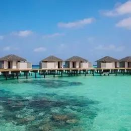 image-https://maldivus.ru/media/villas/2453/image/260x260/overwater-villa-villa-60561.webp
