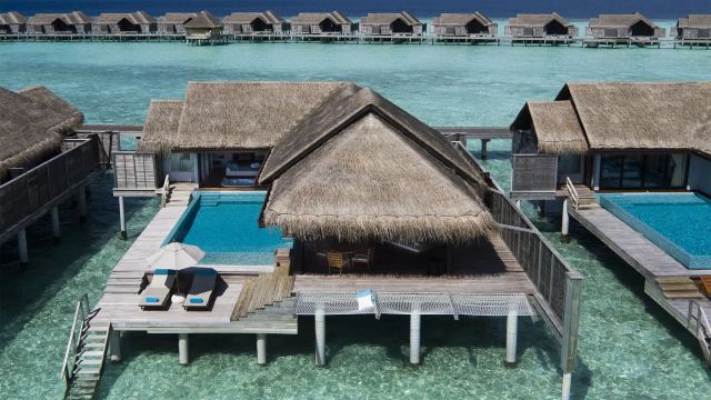 image-https://maldivus.ru/media/villas/2481/image/260x260/over-water-pool-villa-villa-84552.webp