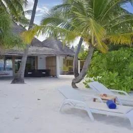 image-https://maldivus.ru/media/villas/2495/image/260x260/superior-beach-bungalow-villa-29522.webp