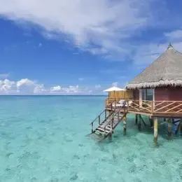 image-https://maldivus.ru/media/villas/2497/image/260x260/water-bungalow-villa-7470.webp