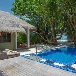 Cocoon Suite: бассейн-купель на деревянной палубе под деревьями