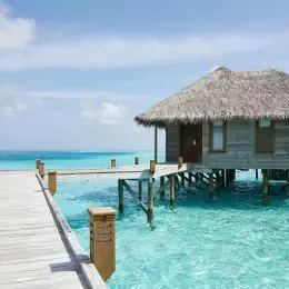image-https://maldivus.ru/media/villas/2653/image/260x260/deluxe-water-villa-with-pool-villa-45573.webp