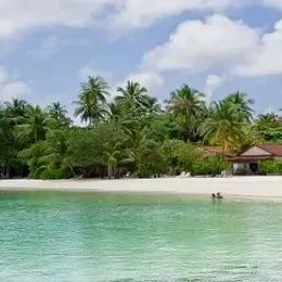 image-https://maldivus.ru/media/villas/2695/image/260x260/junior-suite-villa-76205.webp