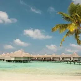 image-https://maldivus.ru/media/villas/2706/image/260x260/water-villa-villa-18716.webp