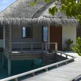 image-https://maldivus.ru/media/villas/2711/image/260x260/water-villa-with-pool-villa-62023.webp