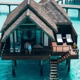 image-https://maldivus.ru/media/villas/2861/image/260x260/ocean-villa-villa-50773.webp