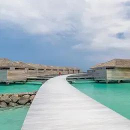 image-https://maldivus.ru/media/villas/2965/image/260x260/lagoon-pool-villa-villa-24012.webp