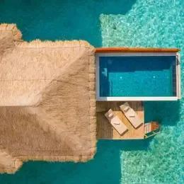 image-https://maldivus.ru/media/villas/3013/image/260x260/water-villa-with-pool-villa-69340.webp