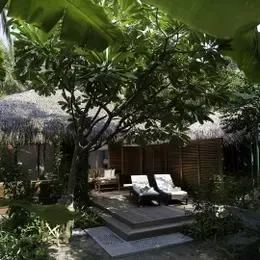 Beach Bungalow на Курамати под тростниковой крышей в густой зелени