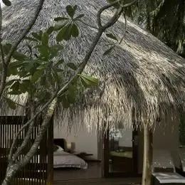 Superior Beach Villa на Курамати: тростниковая крыша сквозь листву
