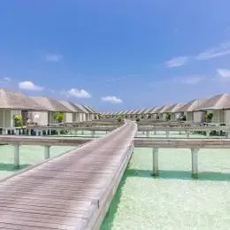 image-https://maldivus.ru/media/villas/3070/image/260x260/maldives-water-villa-villa-88515.webp