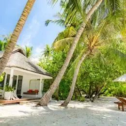image-https://maldivus.ru/media/villas/3072/image/260x260/beach-villa-villa-5433.webp