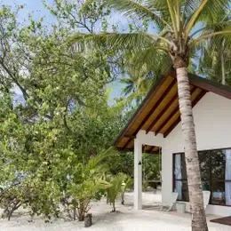 image-https://maldivus.ru/media/villas/3087/image/260x260/garden-room-villa-41301.webp