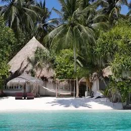 image-https://maldivus.ru/media/villas/3130/image/260x260/beach-villa-villa-11065.webp