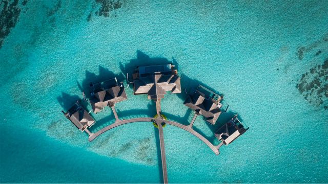 image-https://maldivus.ru/media/villas/3146/image/260x260/the-crescent-villa-85913.webp