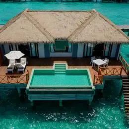 image-https://maldivus.ru/media/villas/3157/image/260x260/water-pool-villa-villa-10834.webp