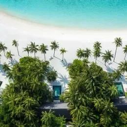 image-https://maldivus.ru/media/villas/3190/image/260x260/beach-villa-with-pool-villa-587.webp