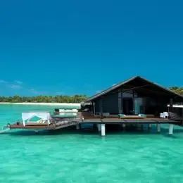 image-https://maldivus.ru/media/villas/3194/image/260x260/water-villa-with-pool-villa-87212.webp