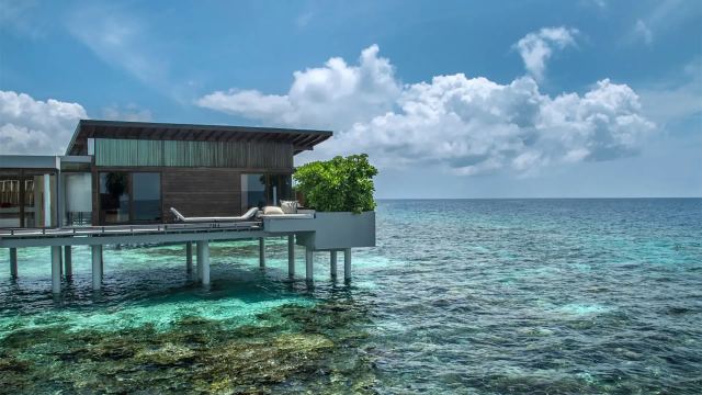 image-https://maldivus.ru/media/villas/3237/image/260x260/overwater-villa-villa-35740.webp