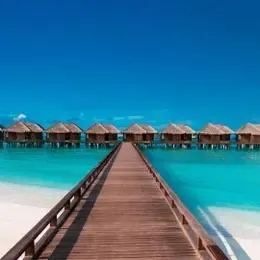 image-https://maldivus.ru/media/villas/3345/image/260x260/overwater-bungalow-villa-26397.webp