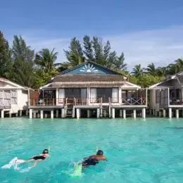 image-https://maldivus.ru/media/villas/3489/image/260x260/premium-water-villa-villa-99919.webp
