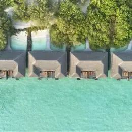 image-https://maldivus.ru/media/villas/3491/image/260x260/lagoon-villa-ocean-view-villa-52452.webp