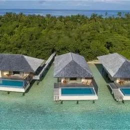 image-https://maldivus.ru/media/villas/3508/image/260x260/lagoon-pool-villa-villa-49802.webp