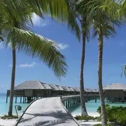 image-https://maldivus.ru/media/villas/3549/image/260x260/over-water-villa-villa-22712.webp