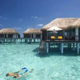 image-https://maldivus.ru/media/villas/3582/image/260x260/water-villa-villa-62836.webp