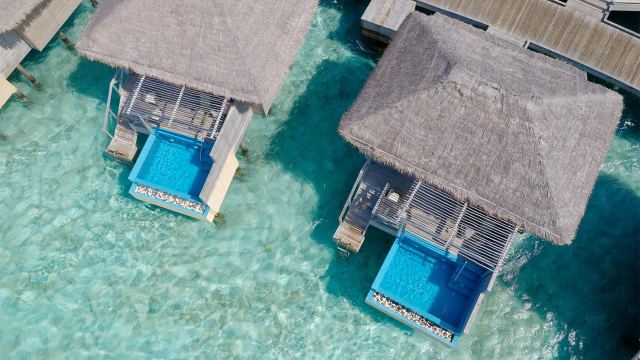 image-https://maldivus.ru/media/villas/3625/image/260x260/dolphin-pool-villa-villa-29092.webp