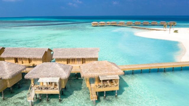 image-https://maldivus.ru/media/villas/3628/image/260x260/dolphin-villa-villa-75166.webp