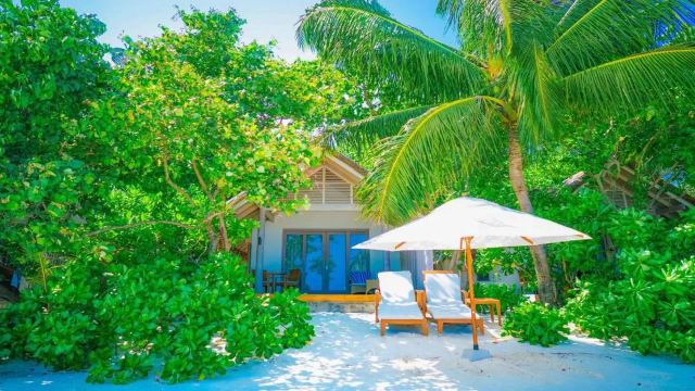 image-https://maldivus.ru/media/villas/4884/image/260x260/beach-villa-with-private-pool-villa-90342.webp