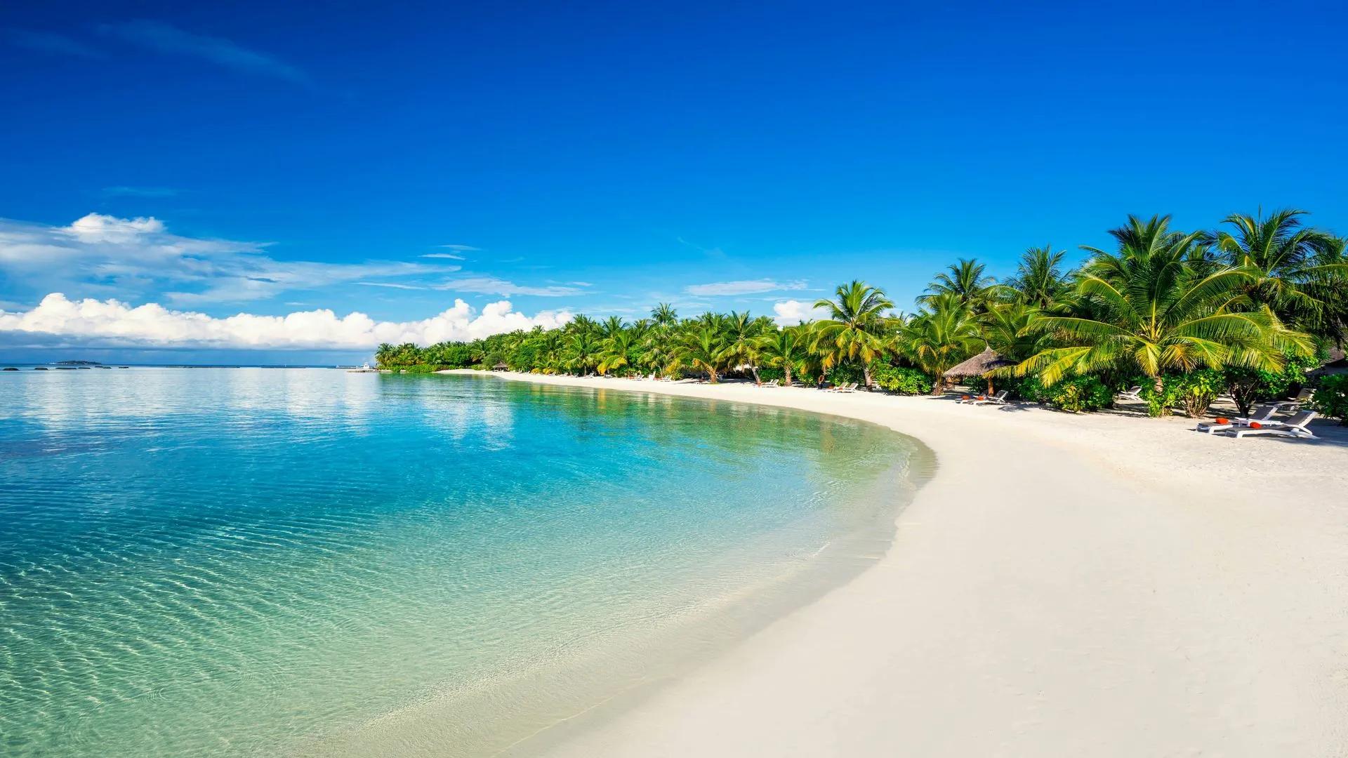 Мелкая прозрачная лагуна у белого пляжа Sheraton Maldives Full Moon, атолл Каафу
