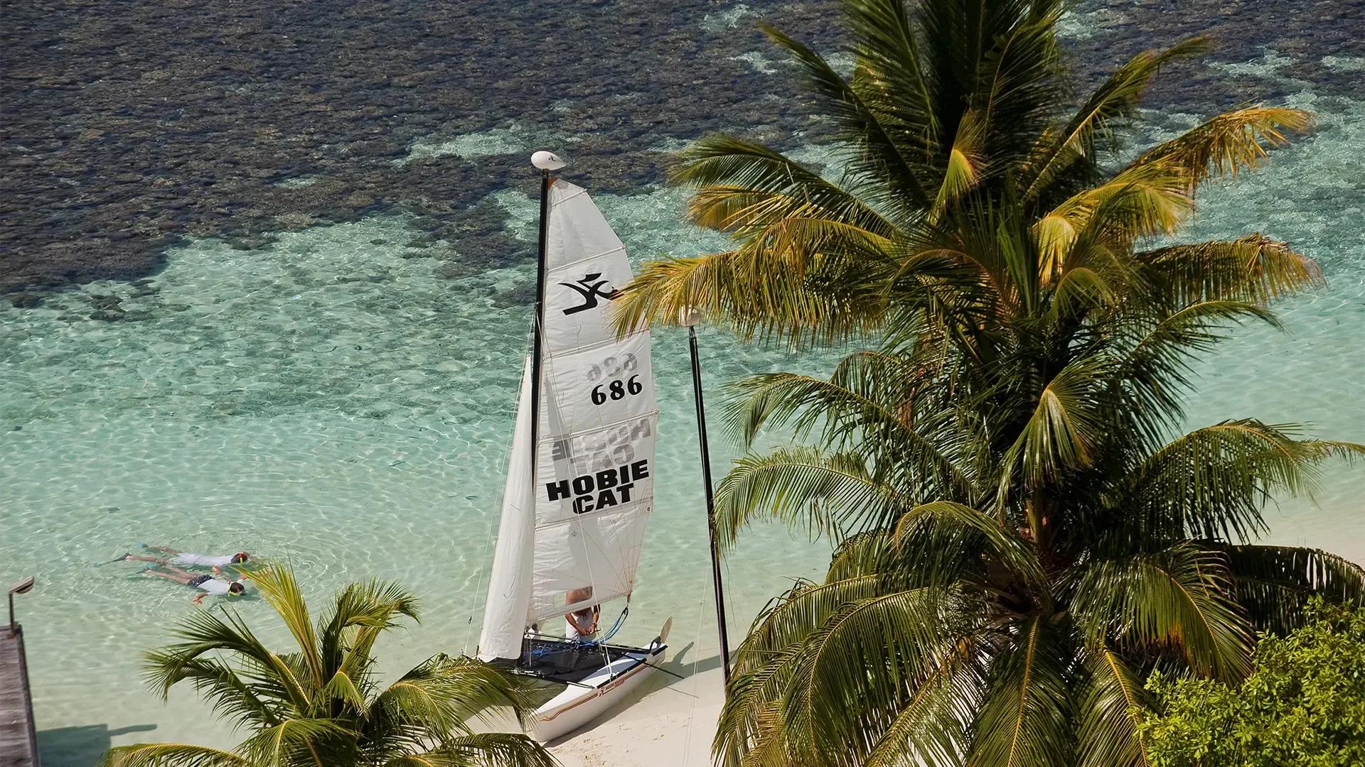 Парусный катамаран Hobie Cat на песке под пальмой, лагуна Diamonds Athuruga, атолл Ари