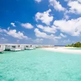 image-https://maldivus.ru/media/villas/2463/image/260x260/one-bedroom-lagoon-water-pool-villa-villa-79375.webp
