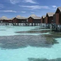 image-https://maldivus.ru/media/villas/2490/image/260x260/superior-over-water-villa-villa-13418.webp