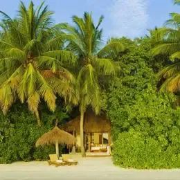 image-https://maldivus.ru/media/villas/2546/image/260x260/deluxe-villa-villa-96857.webp