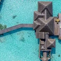 image-https://maldivus.ru/media/villas/2837/image/260x260/residence-with-pool-villa-54376.webp