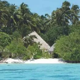 image-https://maldivus.ru/media/villas/2867/image/260x260/sunset-beach-villa-villa-65866.webp